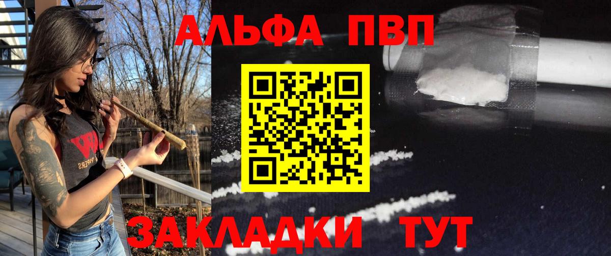 A PVP СК Заринск