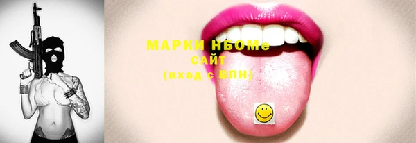гидра Ельня