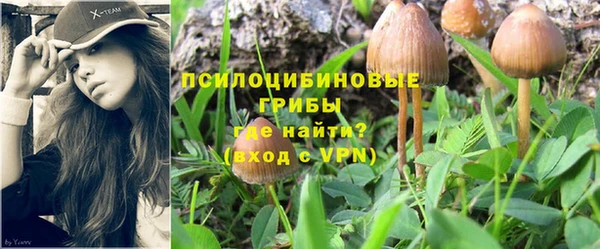 jwh Дмитриев