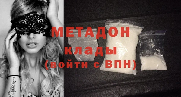 гидра Ельня