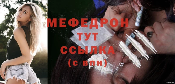 гидра Ельня