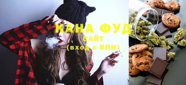 гидра Ельня