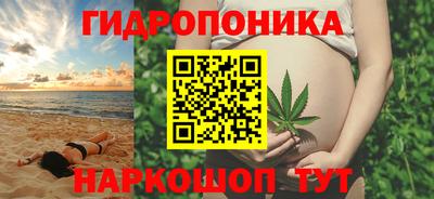 a pvp Долгопрудный