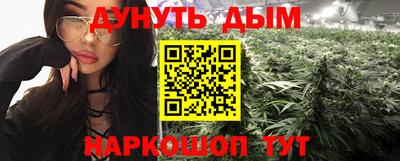 a pvp Долгопрудный